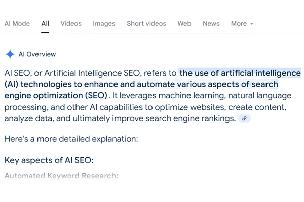 AI Overview Optimisation
